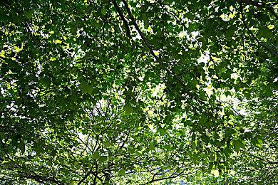 传闻：FromSoftware正在制作PS5独占游戏 不是《血源》续集