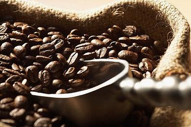 世嘉《双点博物馆》公开 登陆PS5＆XSX＆PC